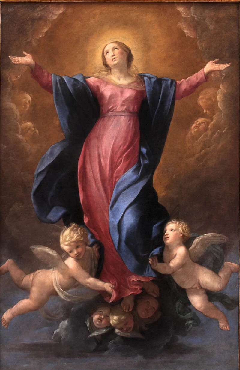 23-Assunzione della Vergine-Museum of Fine Arts of Lyon 